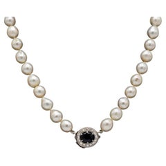 Old pearl necklace with a white gold clasp with sapphire and diamonds