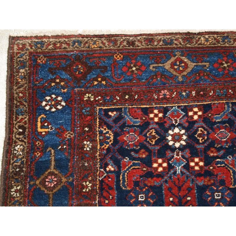 Altpersischer Läufer aus der Region Hamadan von guter Länge mit traditionellem Herati-Muster.

Der Läufer hat eine ausgezeichnete Farbe mit einem tief indigoblauen Feld, das großflächige Herati-Muster hebt sich gut ab. Die Bordüre in einem