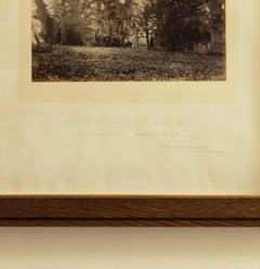 Old Pollard Beech at Ascot Gate Print Inscribed