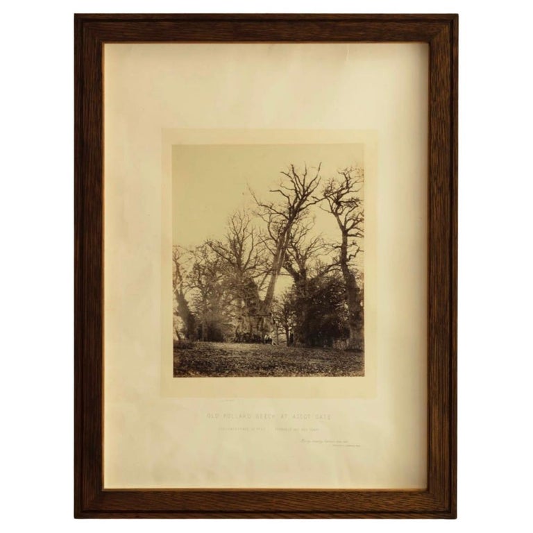 Estampe Ancienne Originale - Vue De East Hagbourne, Berks, Angleterre - Paysage