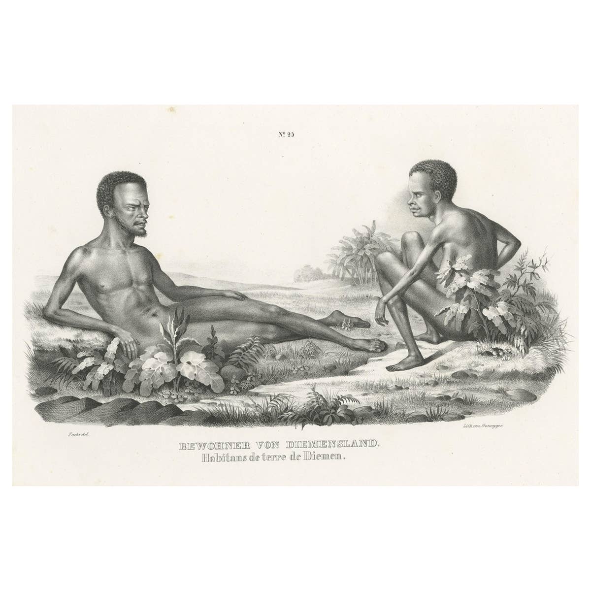 Old Print Depicting Inhabitants of Van Diemen's Land, Tasmania, Australia, c1845