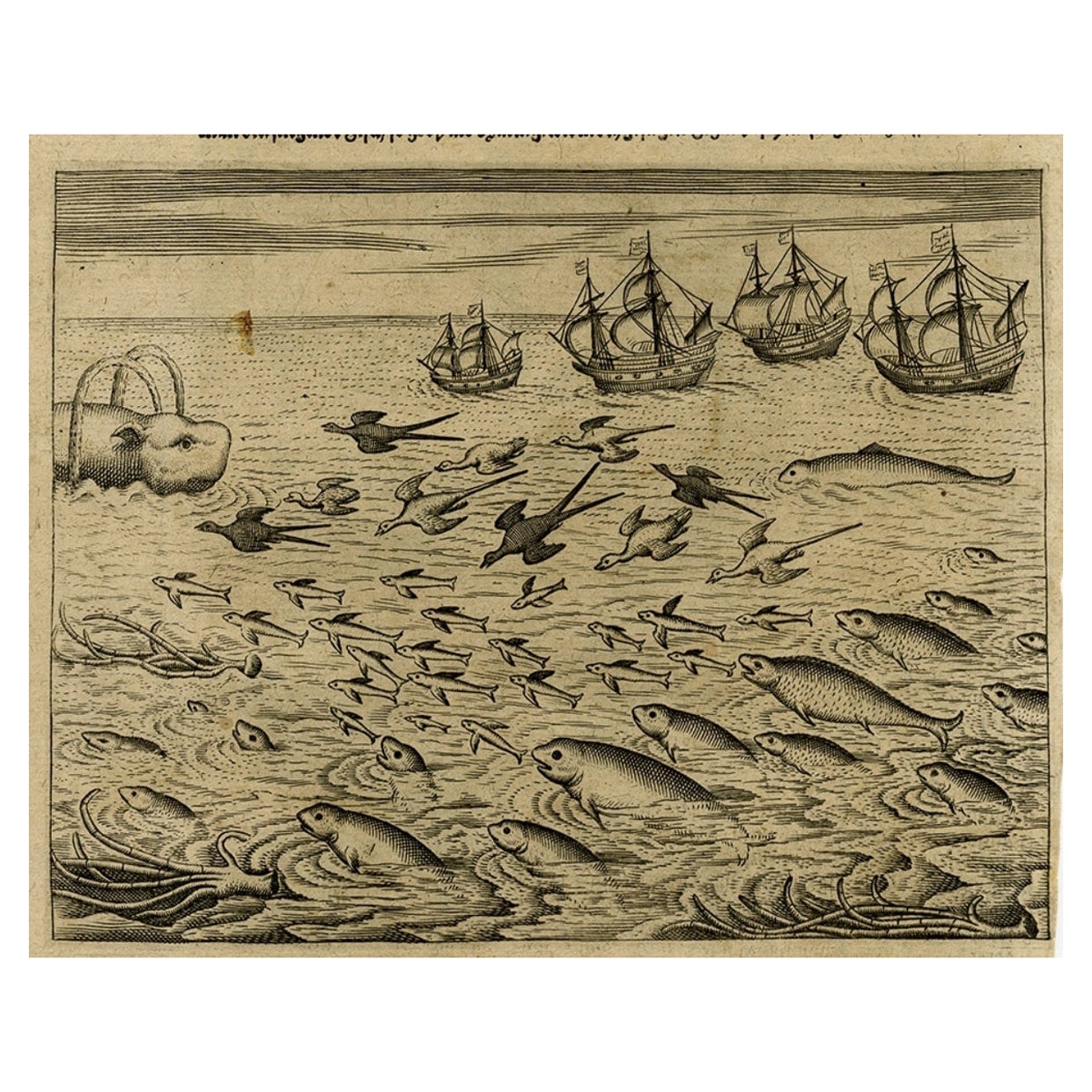 Grabado antiguo de la isla Ascensión con barcos, una ballena y peces voladores, 1601