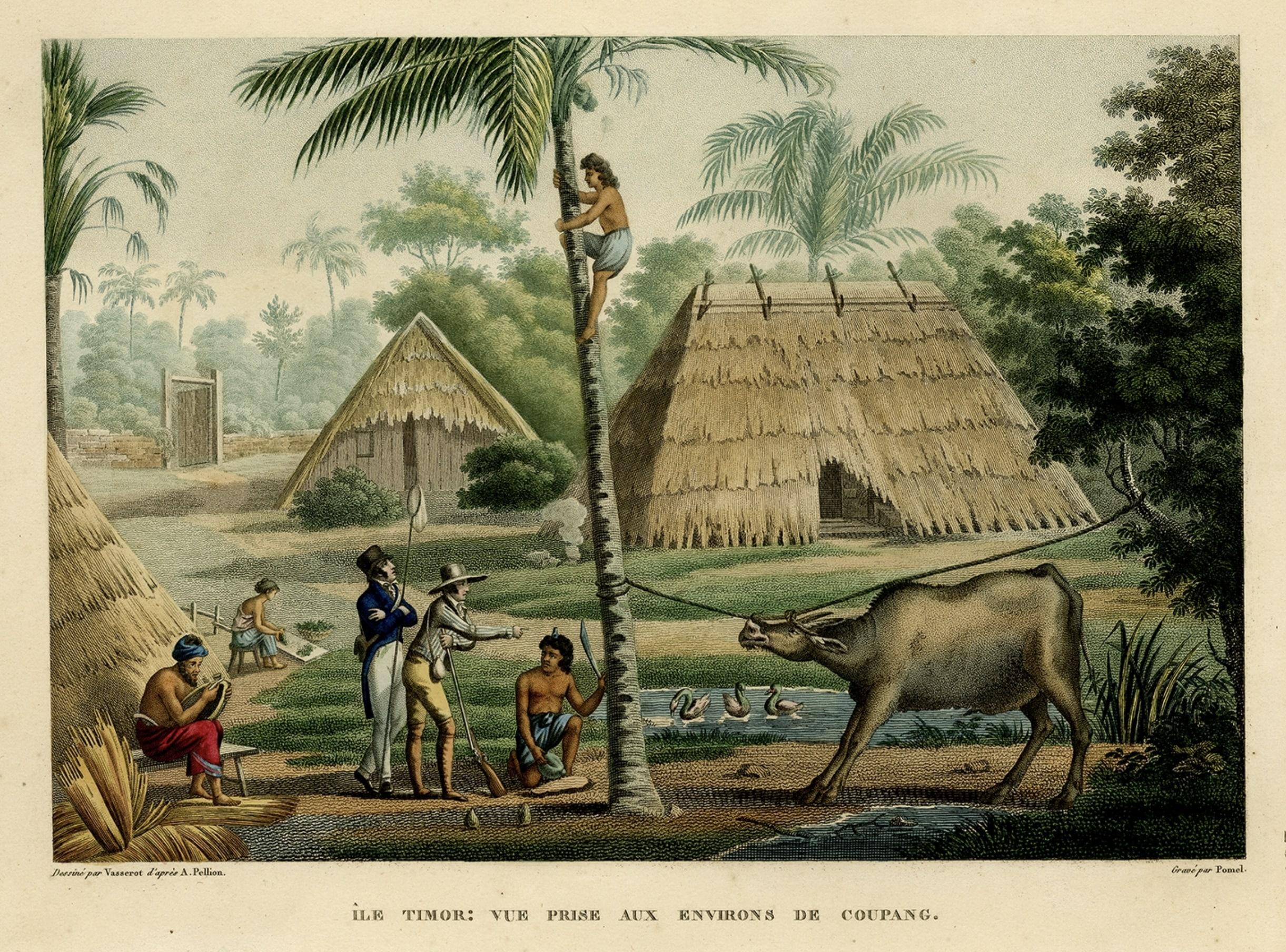 Old Print of French Travellers Visiting a Village in Kupang, Timor, 1825 In Good Condition For Sale In Langweer, NL