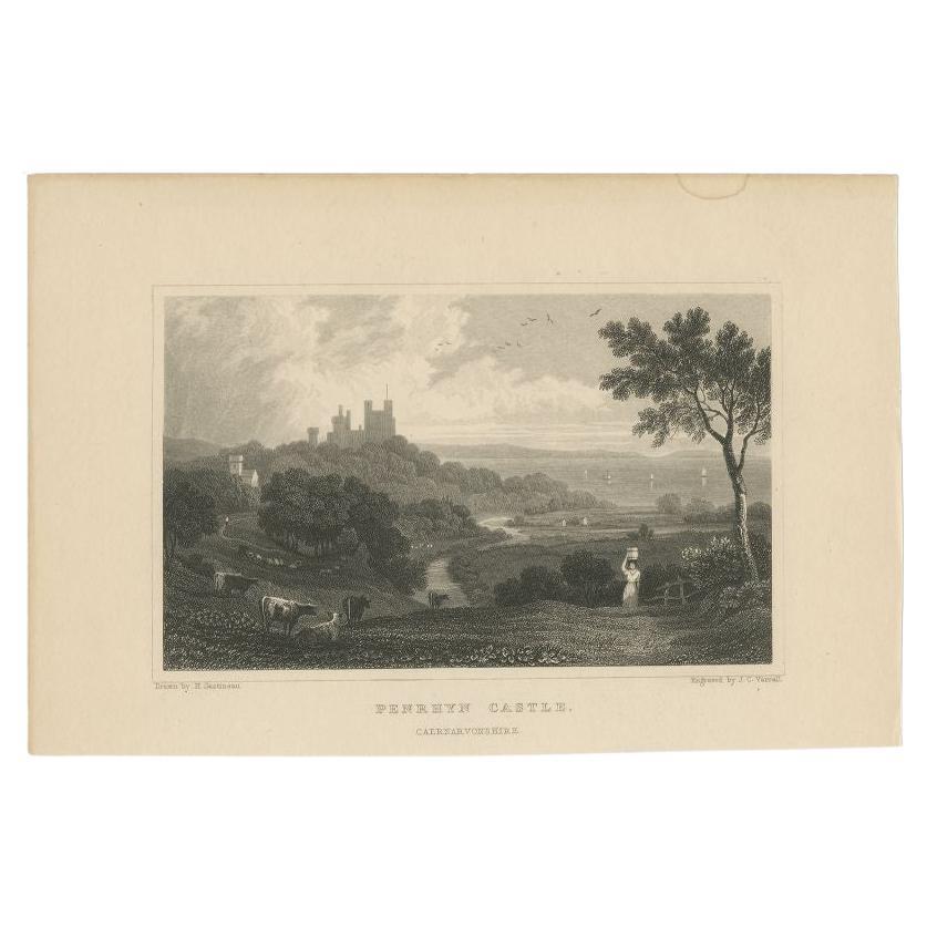 Old Print of Penrhyn Castle, a Country House in Llandygai, Bangor, Gwyned, Wales