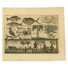 Stampa antica del fiume Sestro in Liberia con persone e animali, 1744