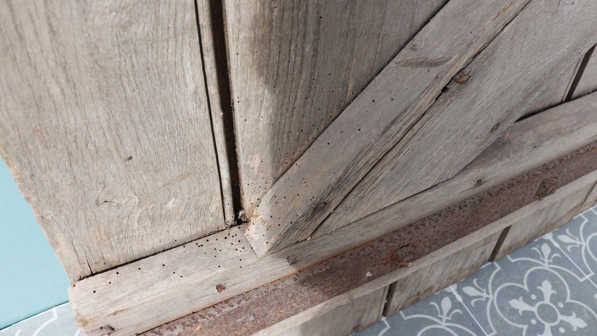 Country Old Reclaimed Rustic Elm Plank Door For Sale