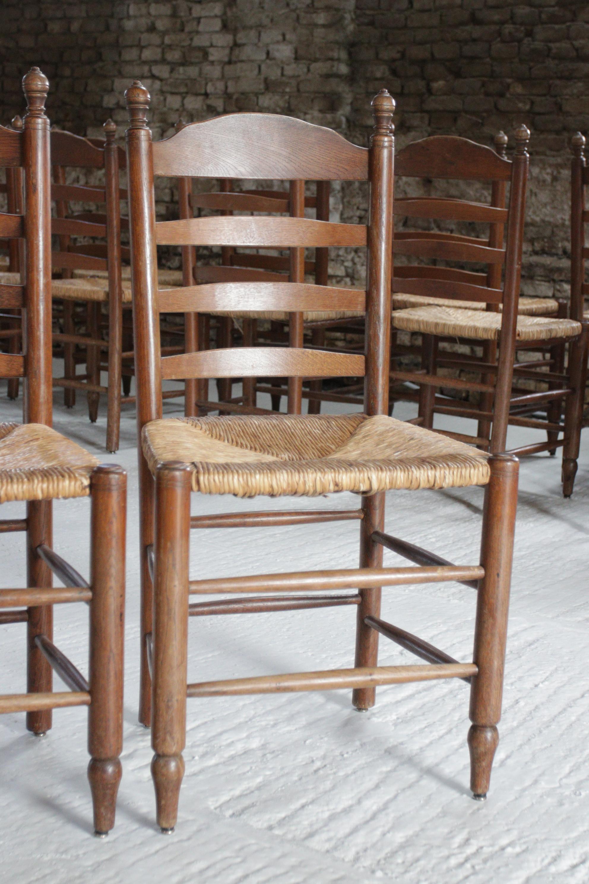  Old Rural Dutch Ladder Back Oak - Rush Seat Dining Chairs For Sale 3