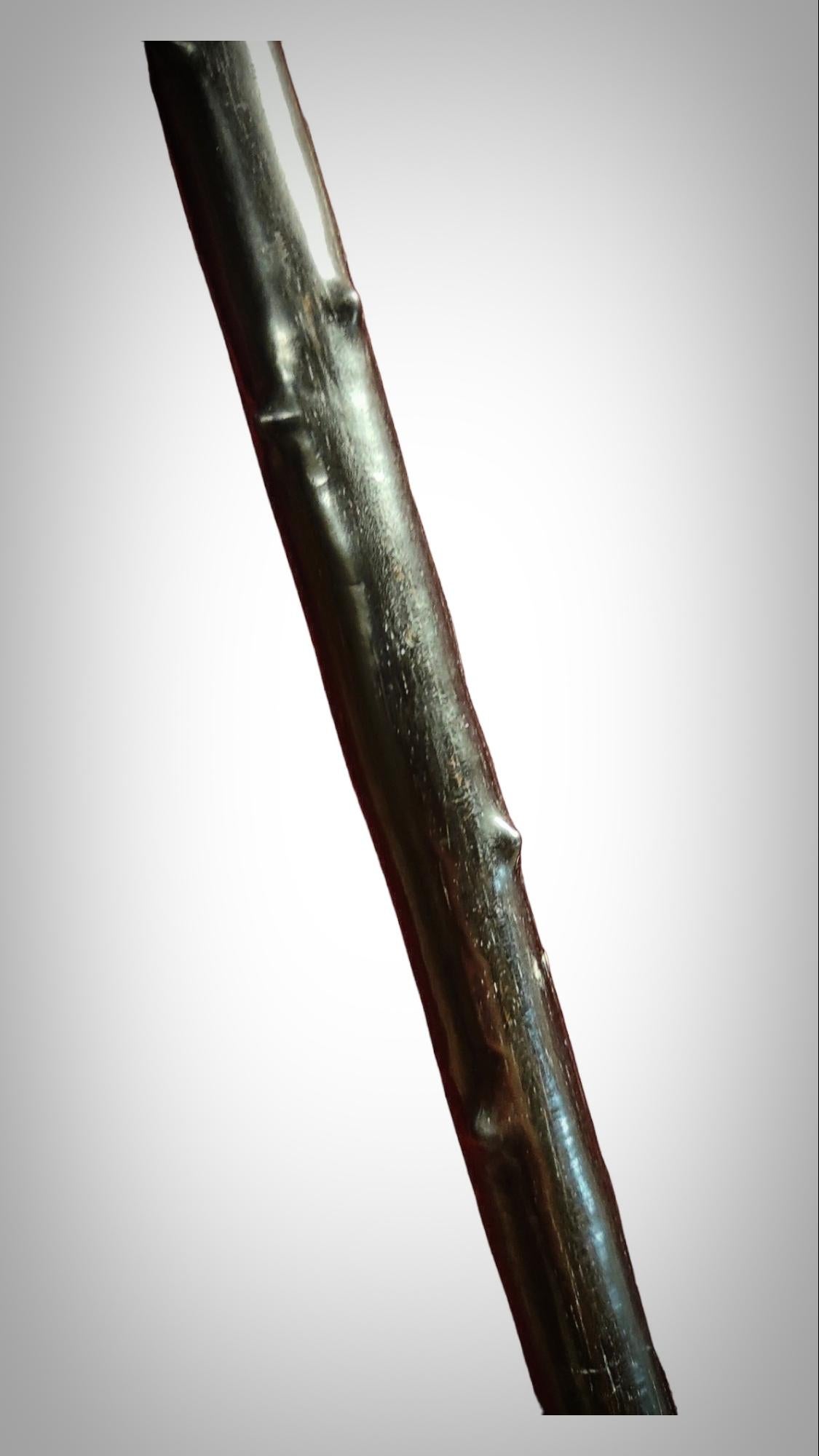 Late 19th Century Old Shibayama Cane Walking Stick