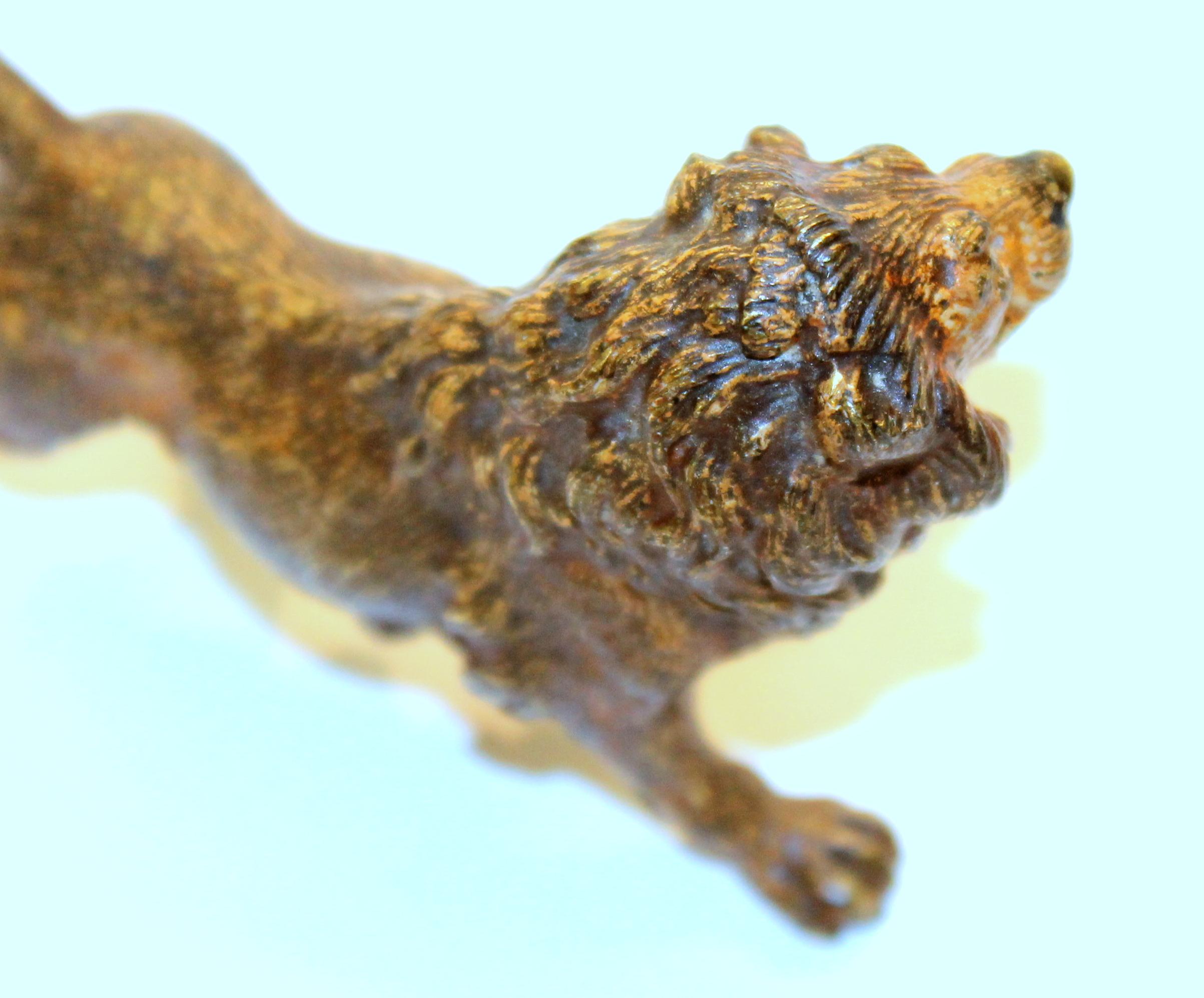 Old Vienna Cold Painted Bronze Figure of a Small Lion, Signed Franz Bergmann For Sale 4