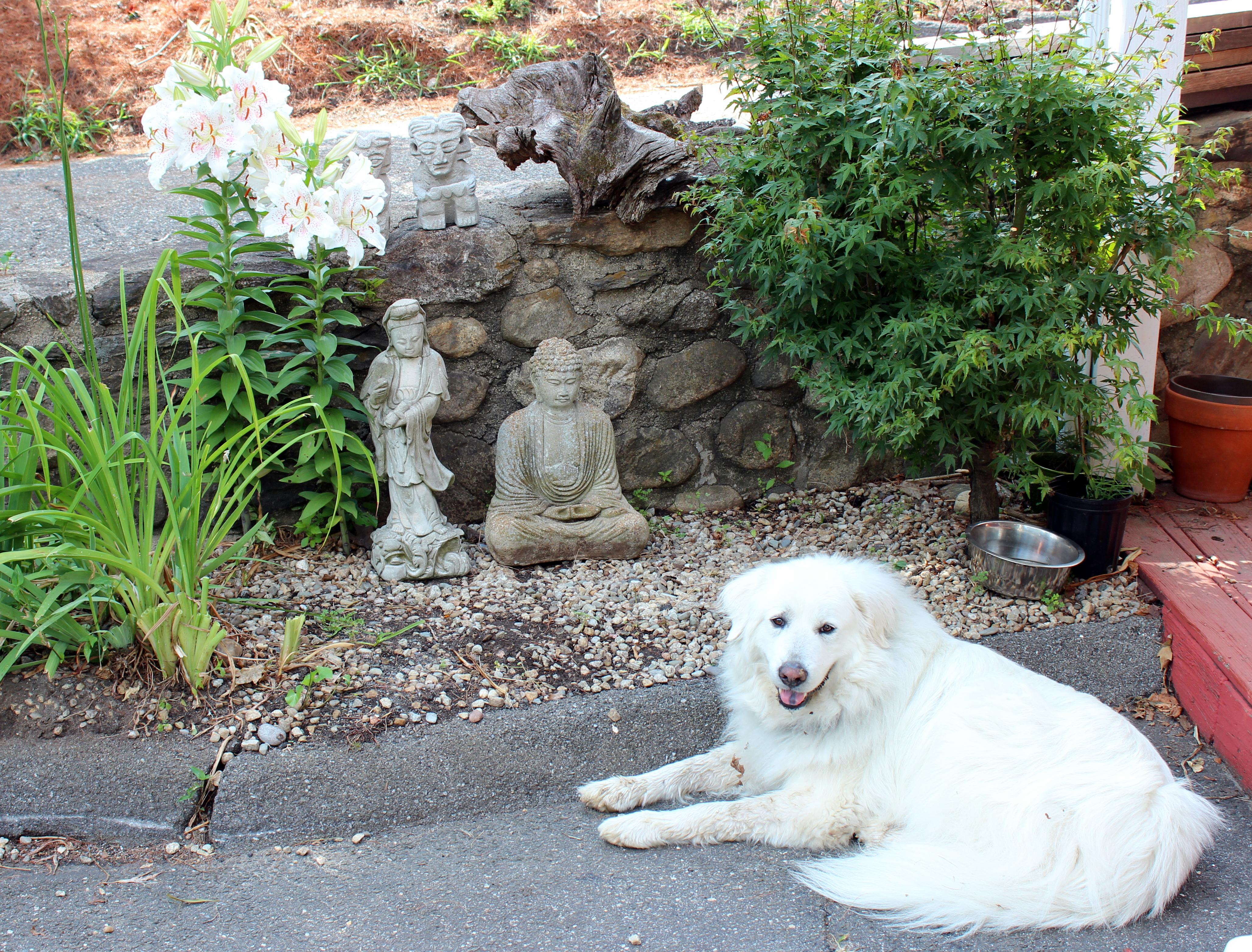 Old Vintage Buddha Cement Chinese Art Figure Sculpture Zen Meditation Garden 4
