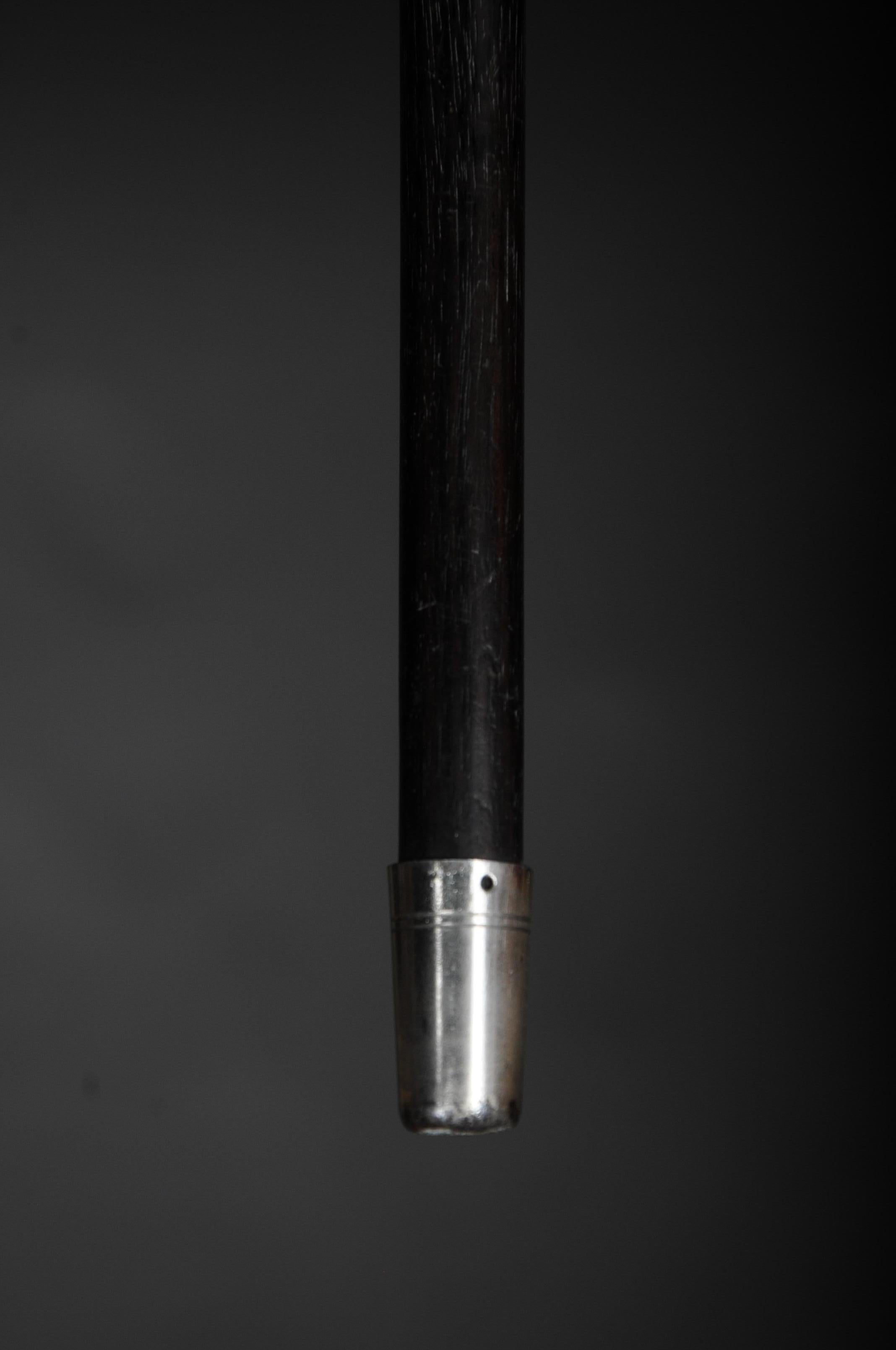 Old Walking Stick / Strolling Stick, Silver Mount, Silver V-177 For Sale 6