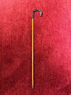 Old Walking Stock Horses Illustration Alpacca