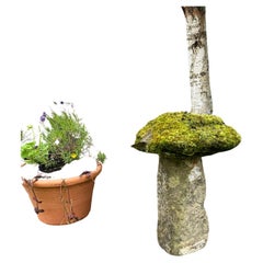 Old Weathered Moss Covered Stone Staddlestone Mushroom Garden Ornament