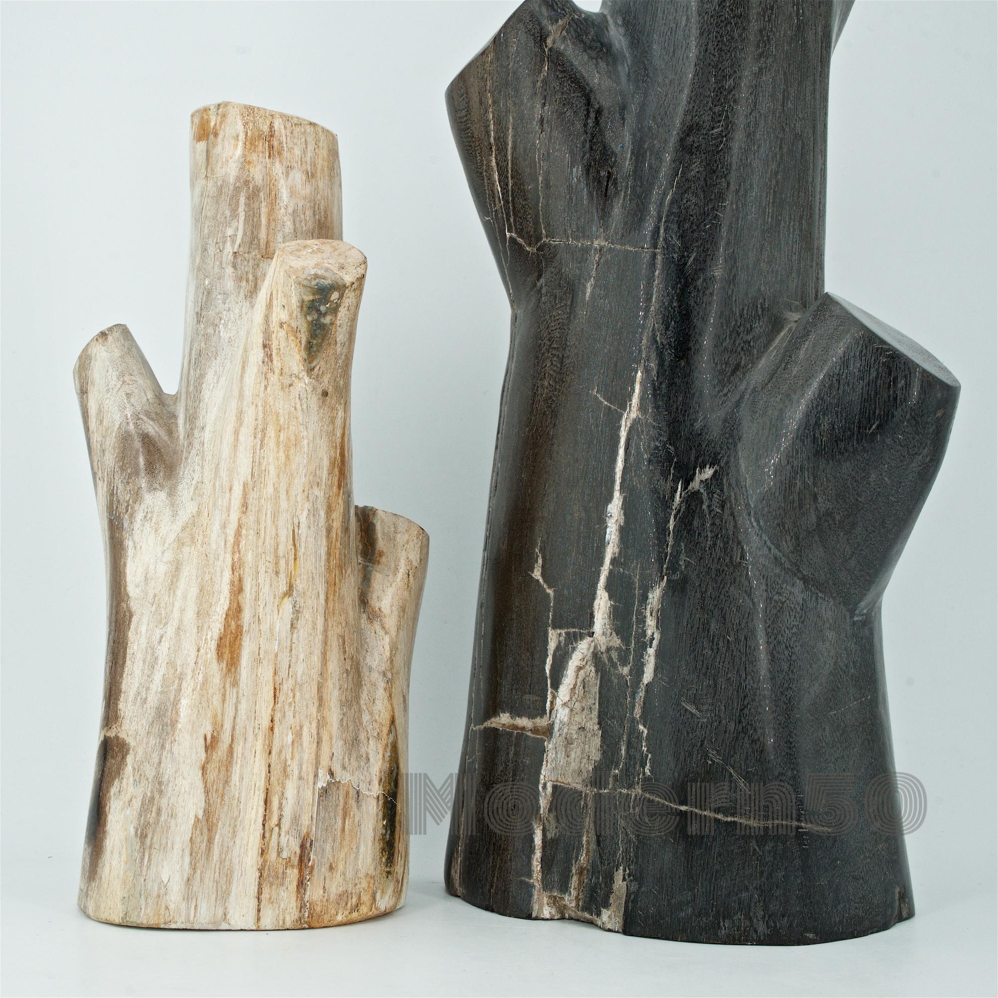 Sculptures de bois pétrifié sculptées de style American Studio Craft en vente 2