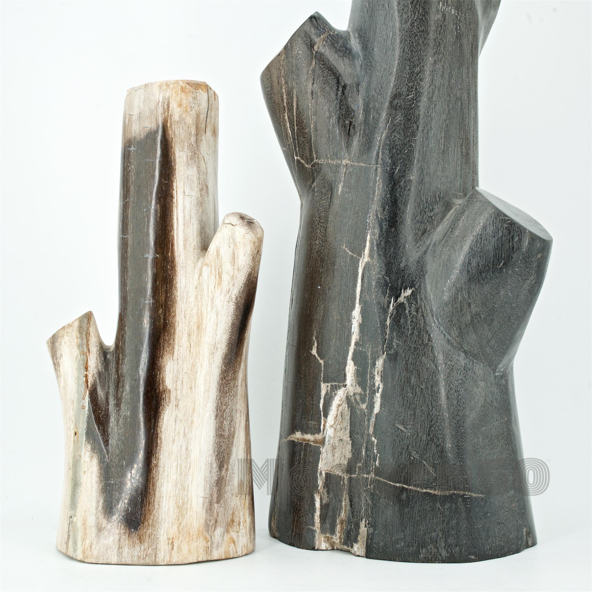 Sculptures de bois pétrifié sculptées de style American Studio Craft en vente 3