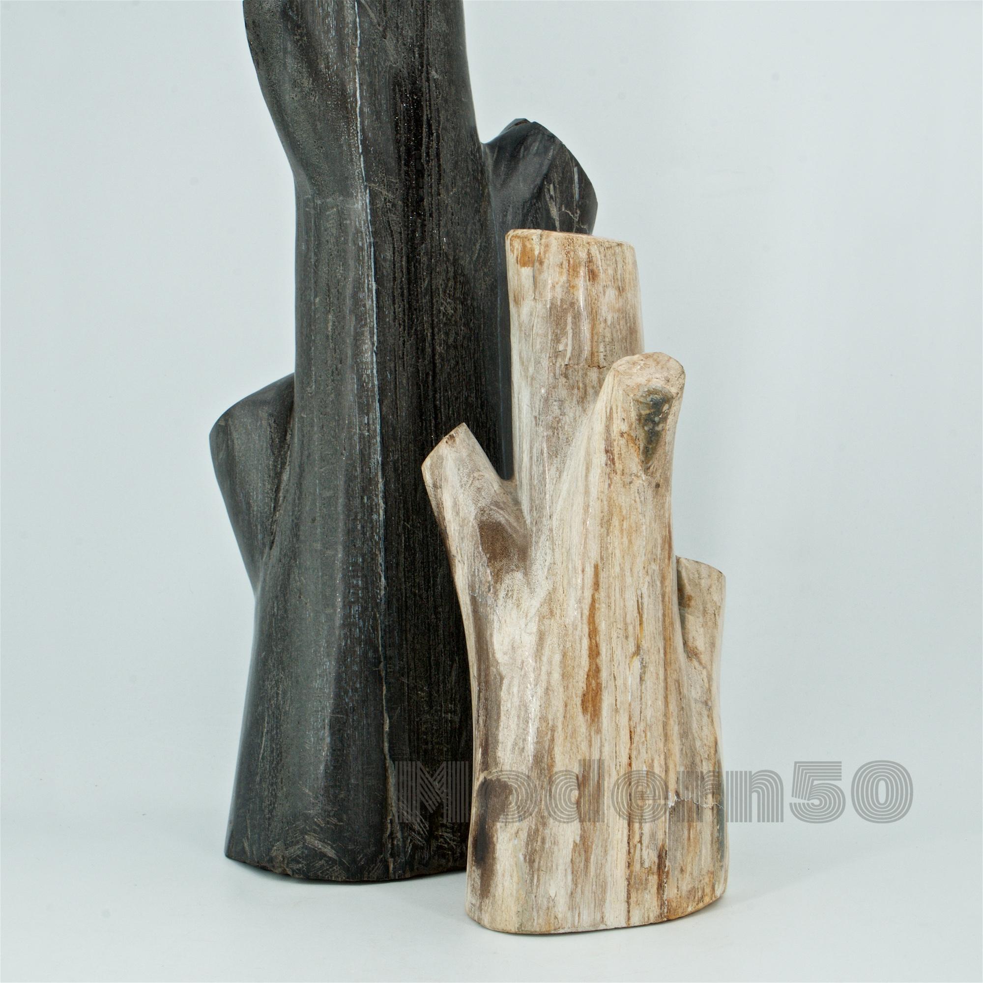 Sculptures de bois pétrifié sculptées de style American Studio Craft en vente 4
