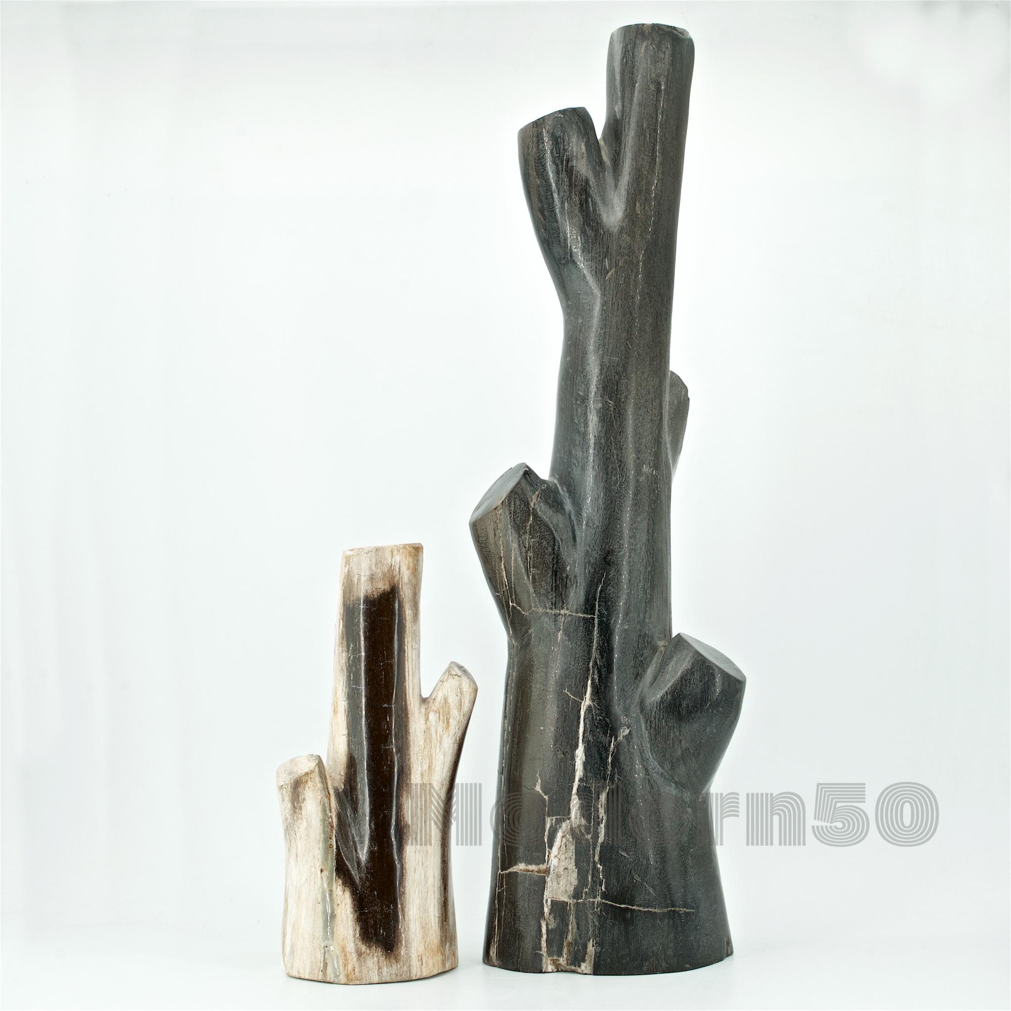 Rare paire de sculptures d'arbres en bois pétrifié, vieil artisanat de studio de l'Ouest américain.
Blanc H 9 3/8 in. / 3.9 lbs.
Noir H 20 3/4 in. / 15.12 lbs.
 