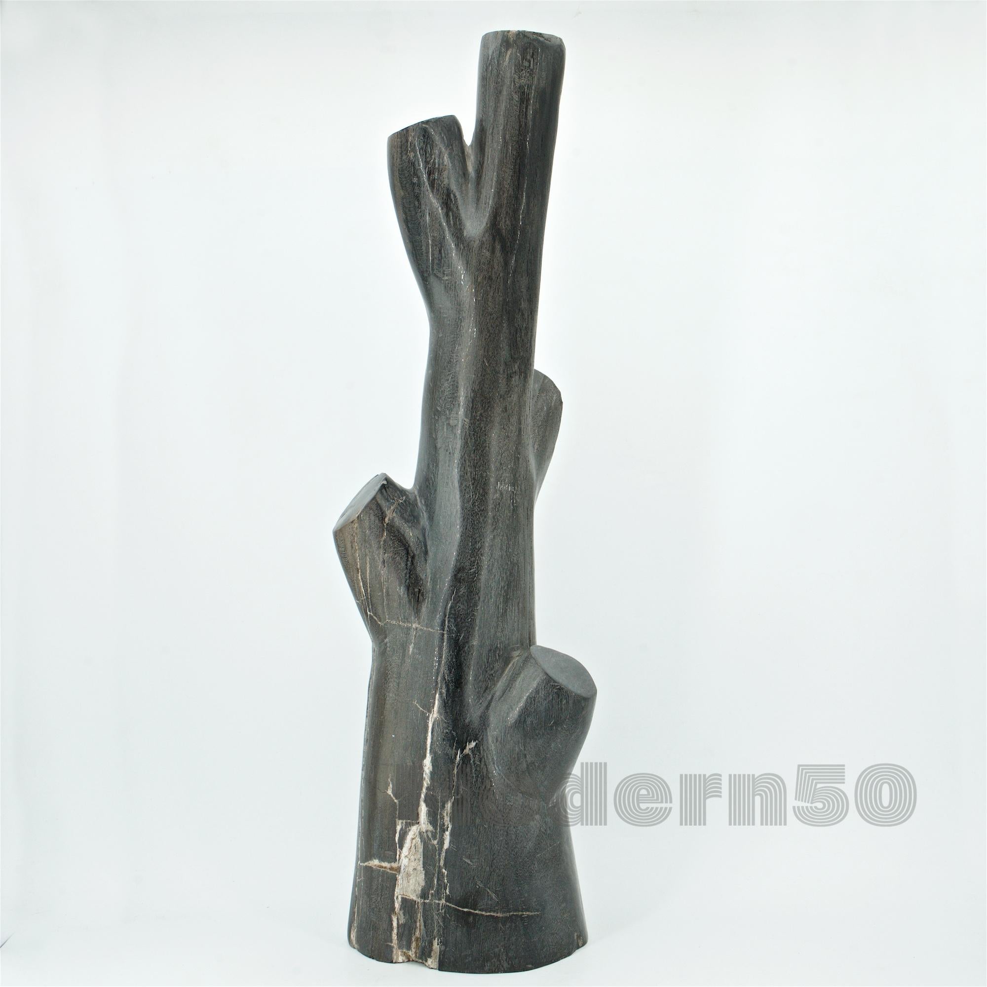 Sculptures de bois pétrifié sculptées de style American Studio Craft en vente 1