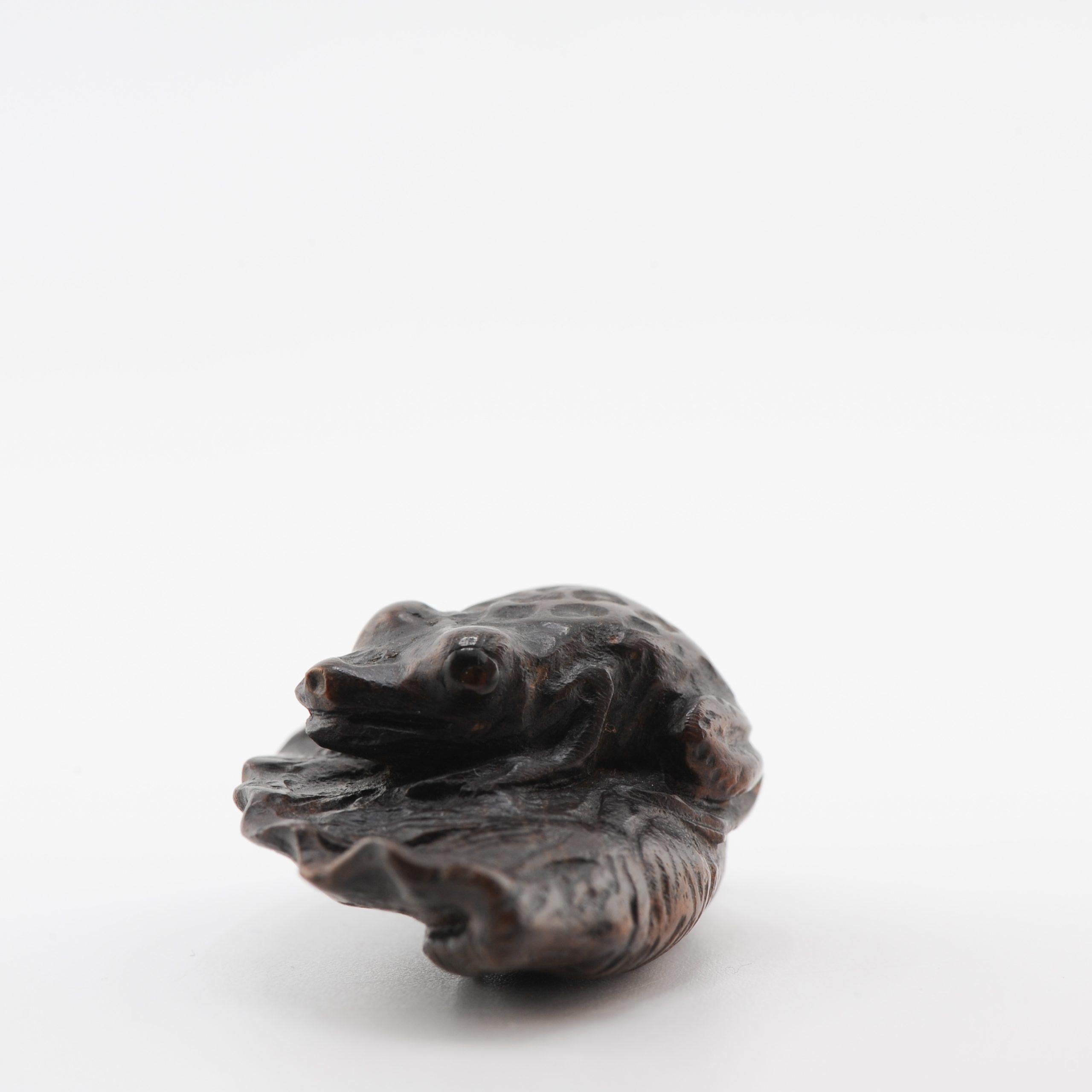 Old Wooden Netsuke 19/20th C Japanese Japan FROG Meiji Period For Sale 1