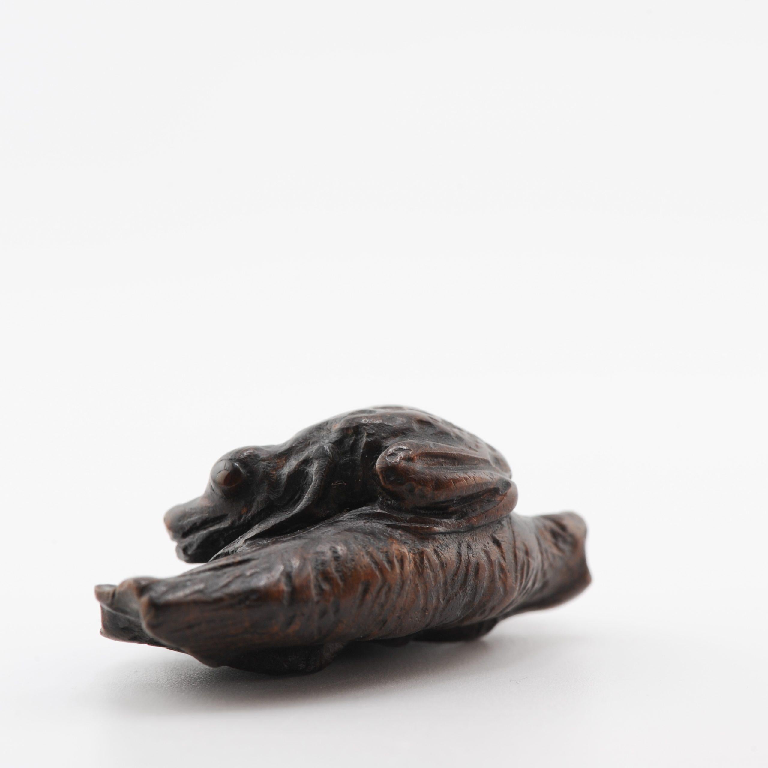 Old Wooden Netsuke 19/20th C Japanese Japan FROG Meiji Period For Sale 3