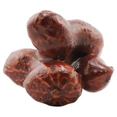 Altes Holznetzsuke 19./20. Jahrhundert Japan PEANUTS Meiji-Periode