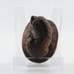 Old Wooden Netsuke Japanese Animal on Turtle Figure Meiji Period 19/20th Century
