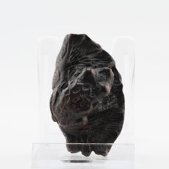 Old Wooden Netsuke Japanese Frog Figure Meiji Period, 19/20th Century