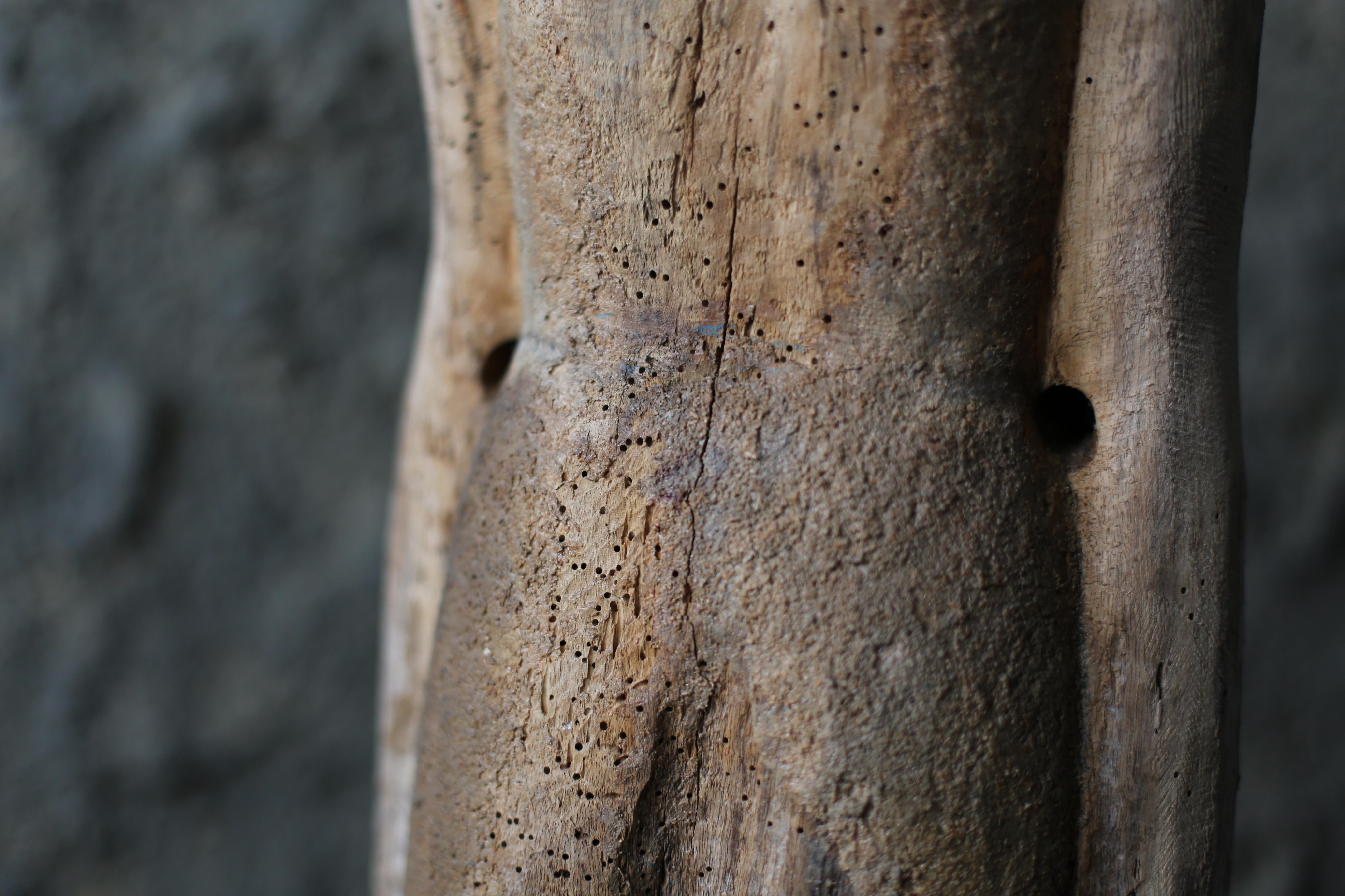 Alte Holzskulptur eines unbekannten Künstlers aus Japan im Angebot 11