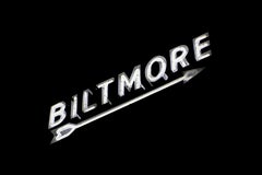 Photographie « Biltmore » 23" x 32" pouces Édition de 10 par Oleg Char