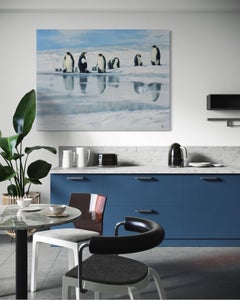 Penguin Colony Animals Large Scale Original oil Painting, Ready to Hang