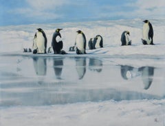 Penguin Colony Animals Large Scale Original oil Painting, Ready to Hang