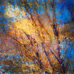 Childhood, I’m Looking at the Sun #4, Abstract Photograph, 2025