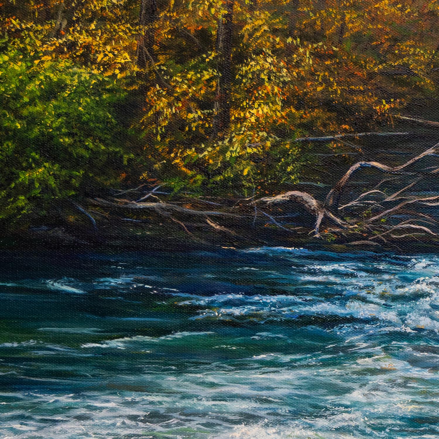 Fiume Colorado, Pittura a olio - Painting Realismo di Olena Nabilsky