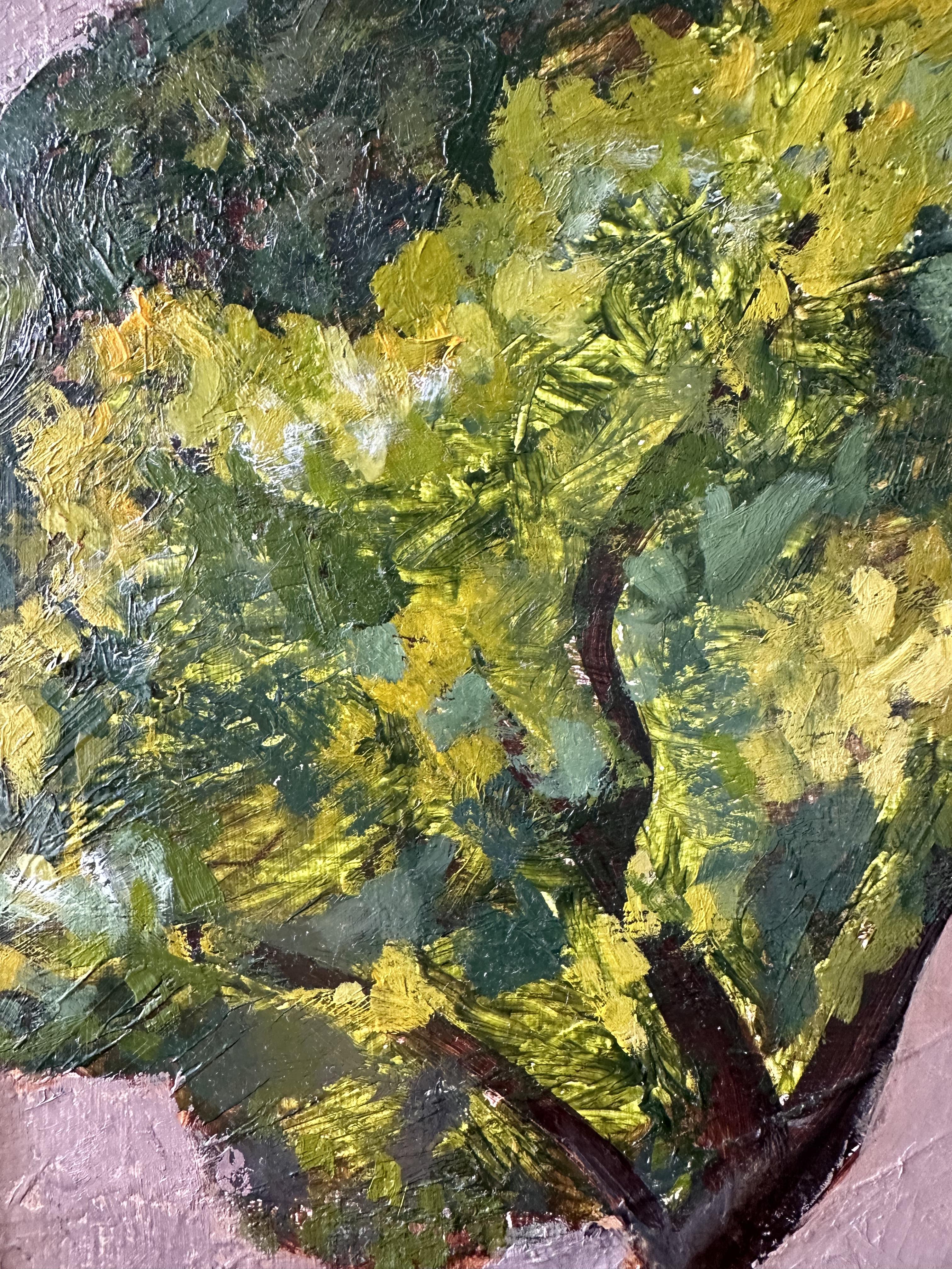 Paisaje español en venta 8