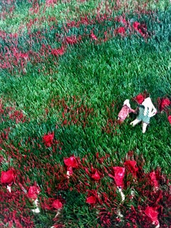 Little Arctic Flower (Mixed Media, 3D Figures in a Green Field with Red Roses)