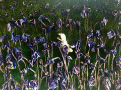 My Letter to the World (Large 3D Purple Irises, Woman Reading among Flowers)