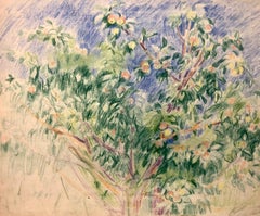 "Pommier pastel cm. 45 x 35 (cadre cm. 60 x 70)