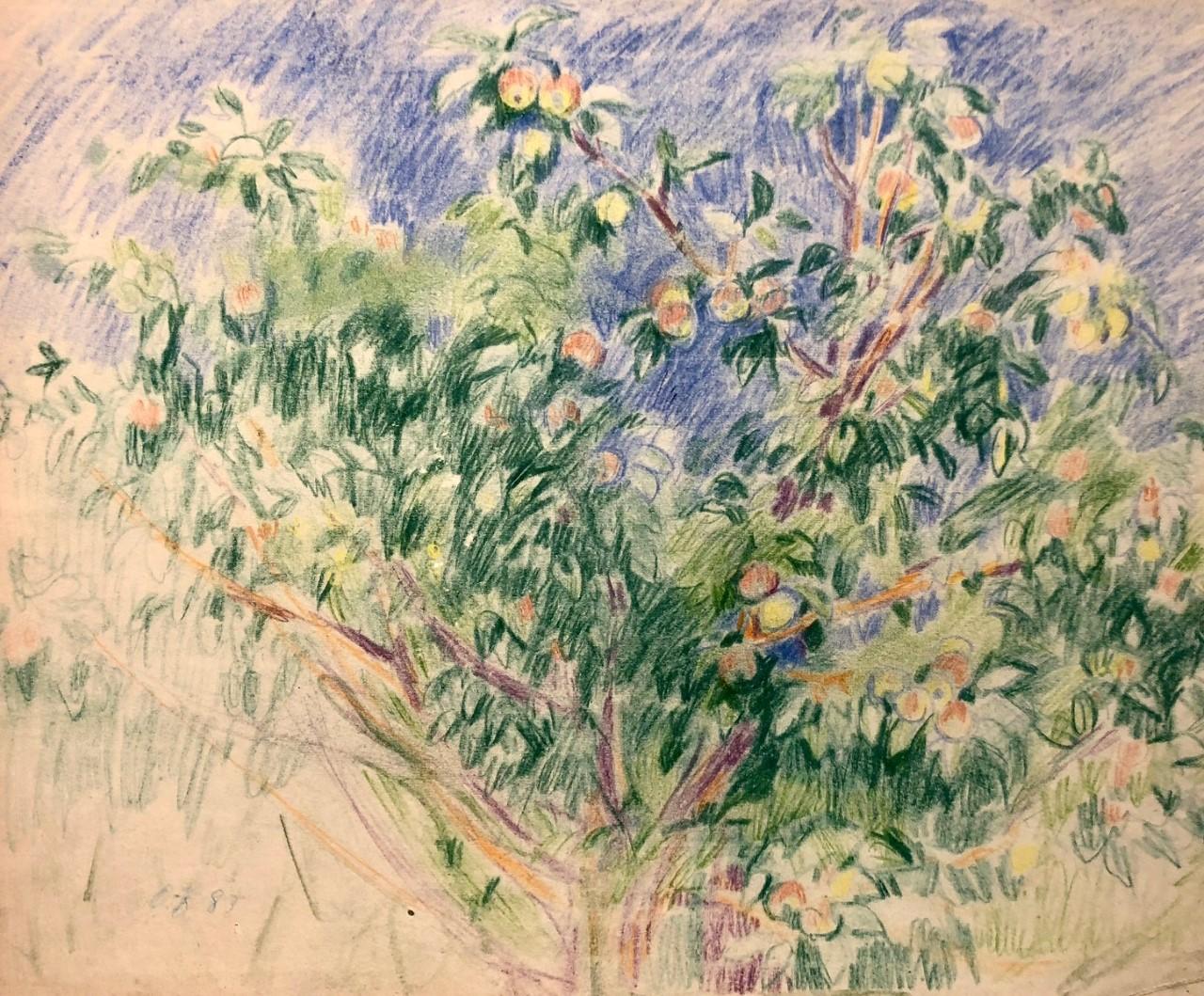 "Apple tree"  pastel  cm. 45 x 35   ( frame  cm. 60 x 70)