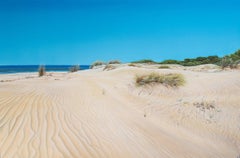 Sand Dunes -original realism seascape oil painting-contemporary Art