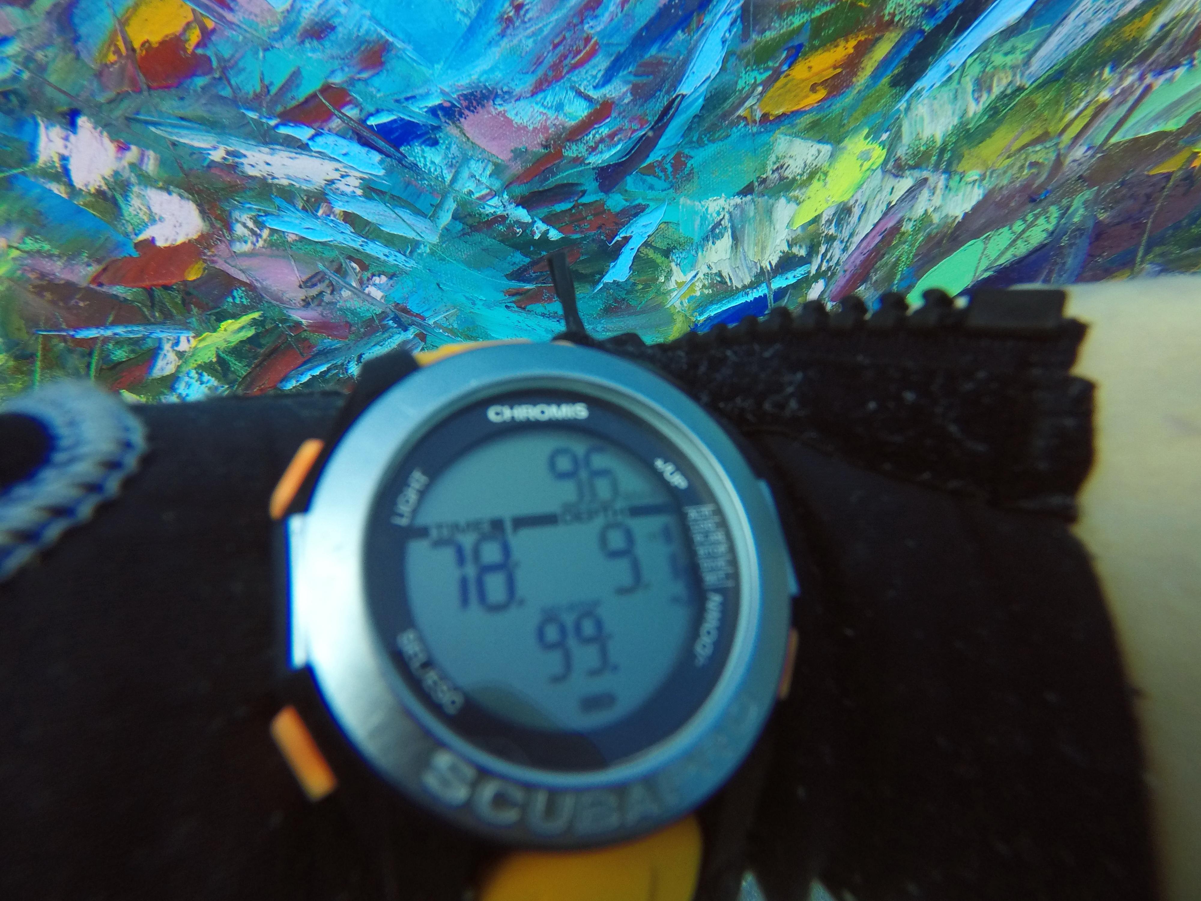 Bright Life Underwater, Gemälde, das unter Wasser in der Tiefe von 9.6 m entstanden ist im Angebot 5