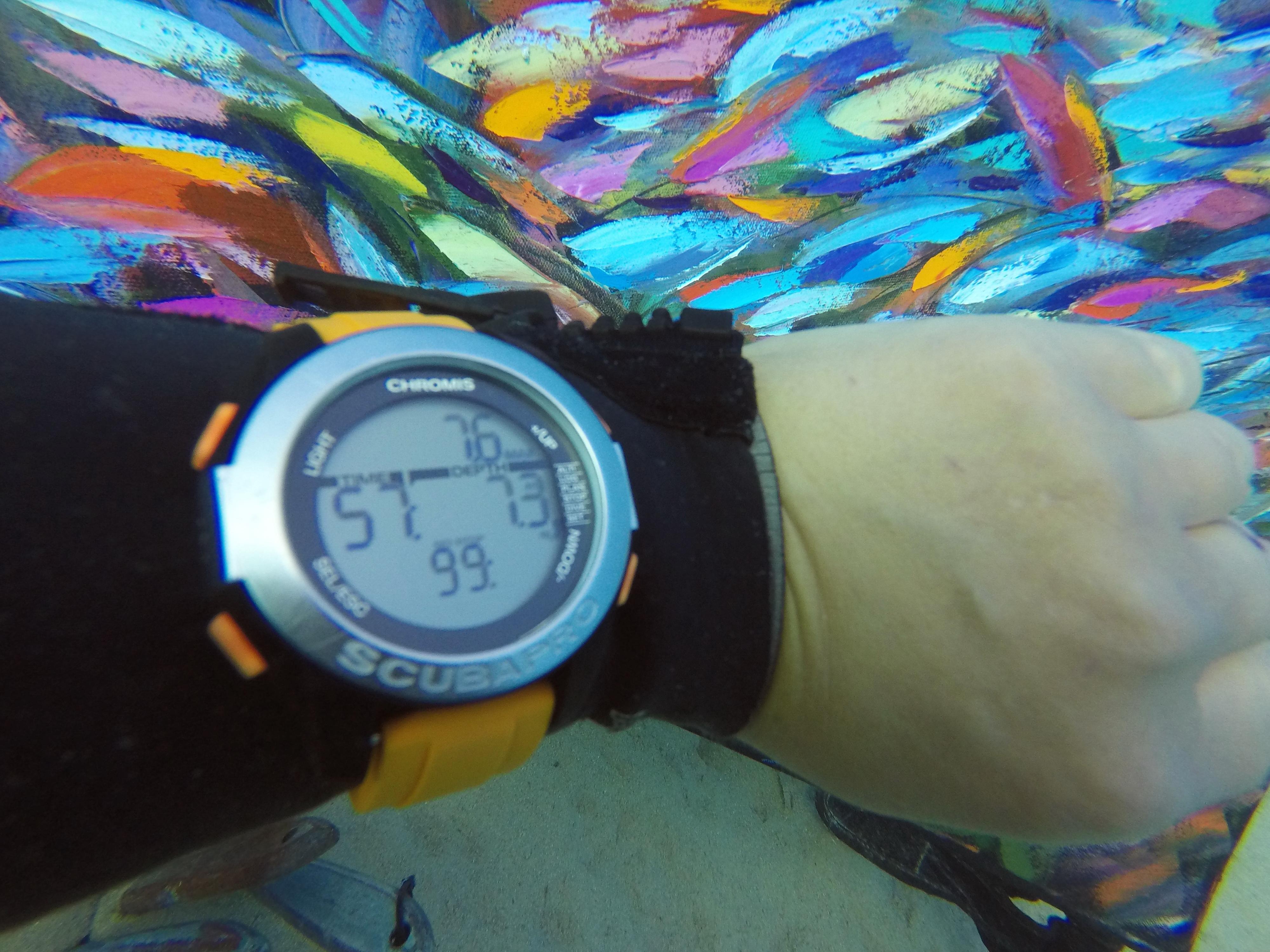 Kaleidoskope Unterwassergemälde entstand unter Wasser in der Tiefe von 7.6 m. im Angebot 4