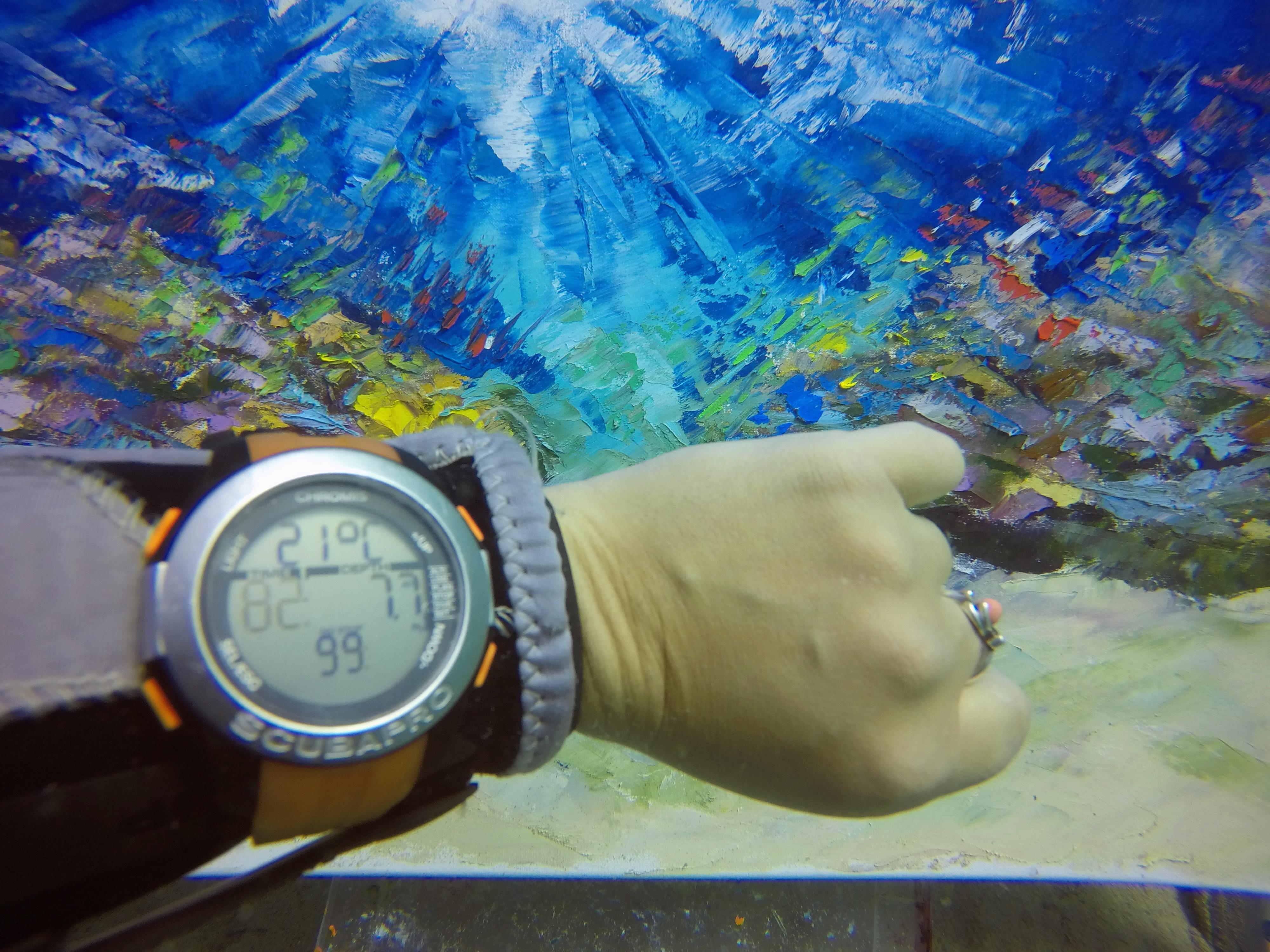 TROPICAL OCEAN Unterwassergemälde entstand unter Wasser in der Tiefe von 7,7 m (Blau), Landscape Painting, von Olga Nikitina