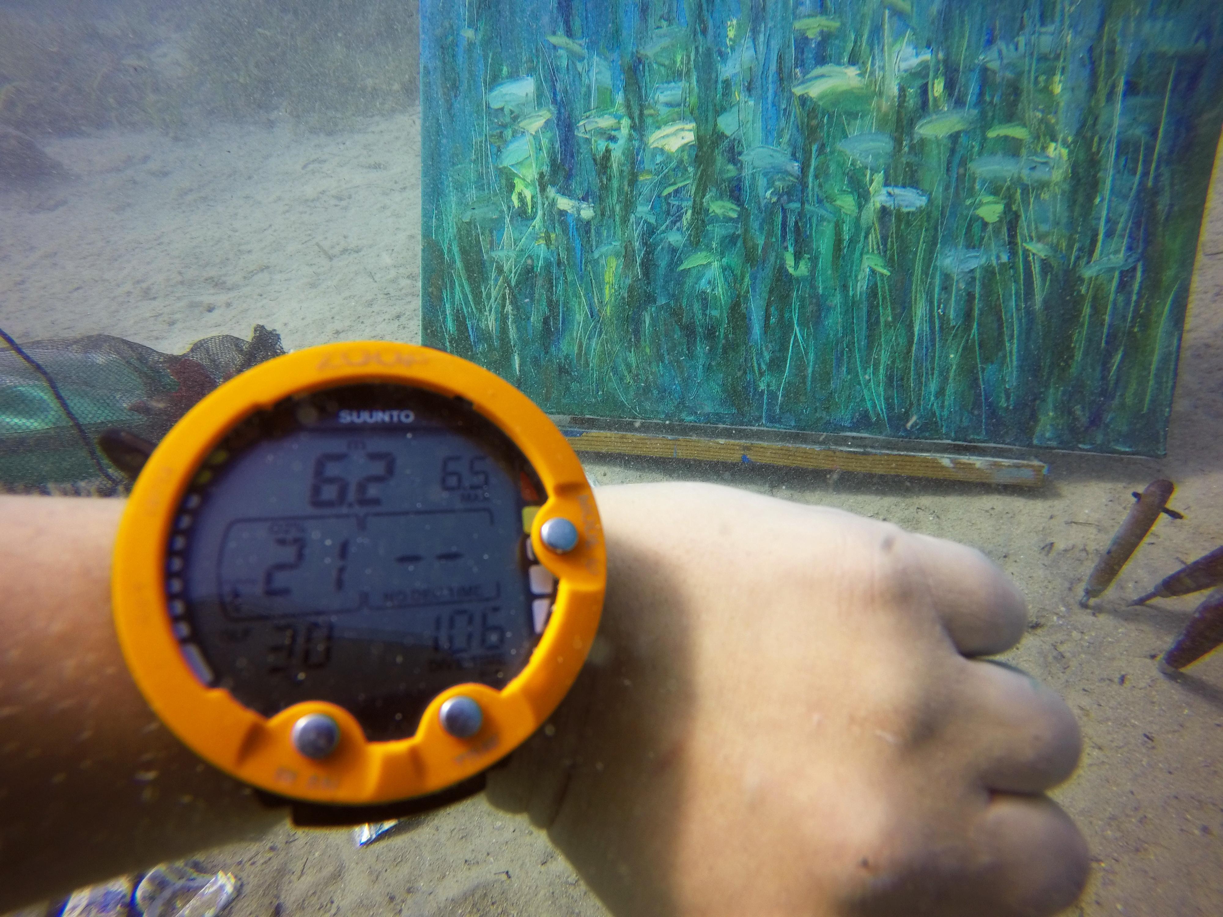 Unterwassermalerei - eine neue, schnell wachsende Richtung in der zeitgenössischen Kunst. Die Kunstwerke wurden unter Wasser in einer Tiefe von  6,2 Meter, Unterwasser-Malsitzung 106 Minuten. 

Es ist eine intuitive Malerei, die auf Gefühlen und