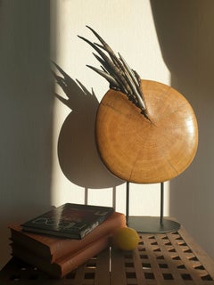 Nautilus. Contemporary textile sculpture, Antique oak wood.