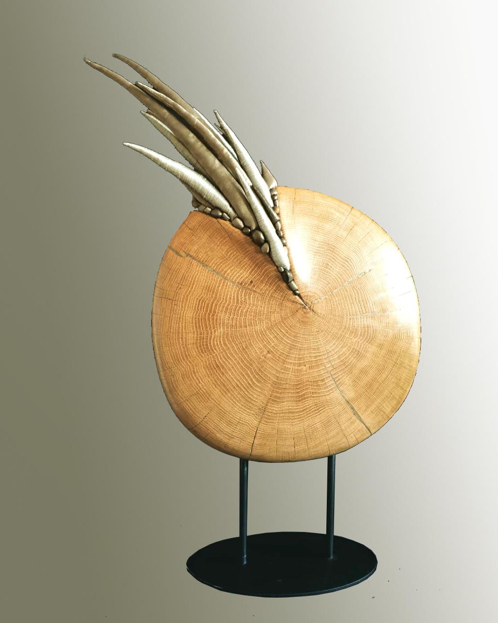 Nautilus. Contemporary textile sculpture, Antique oak wood.