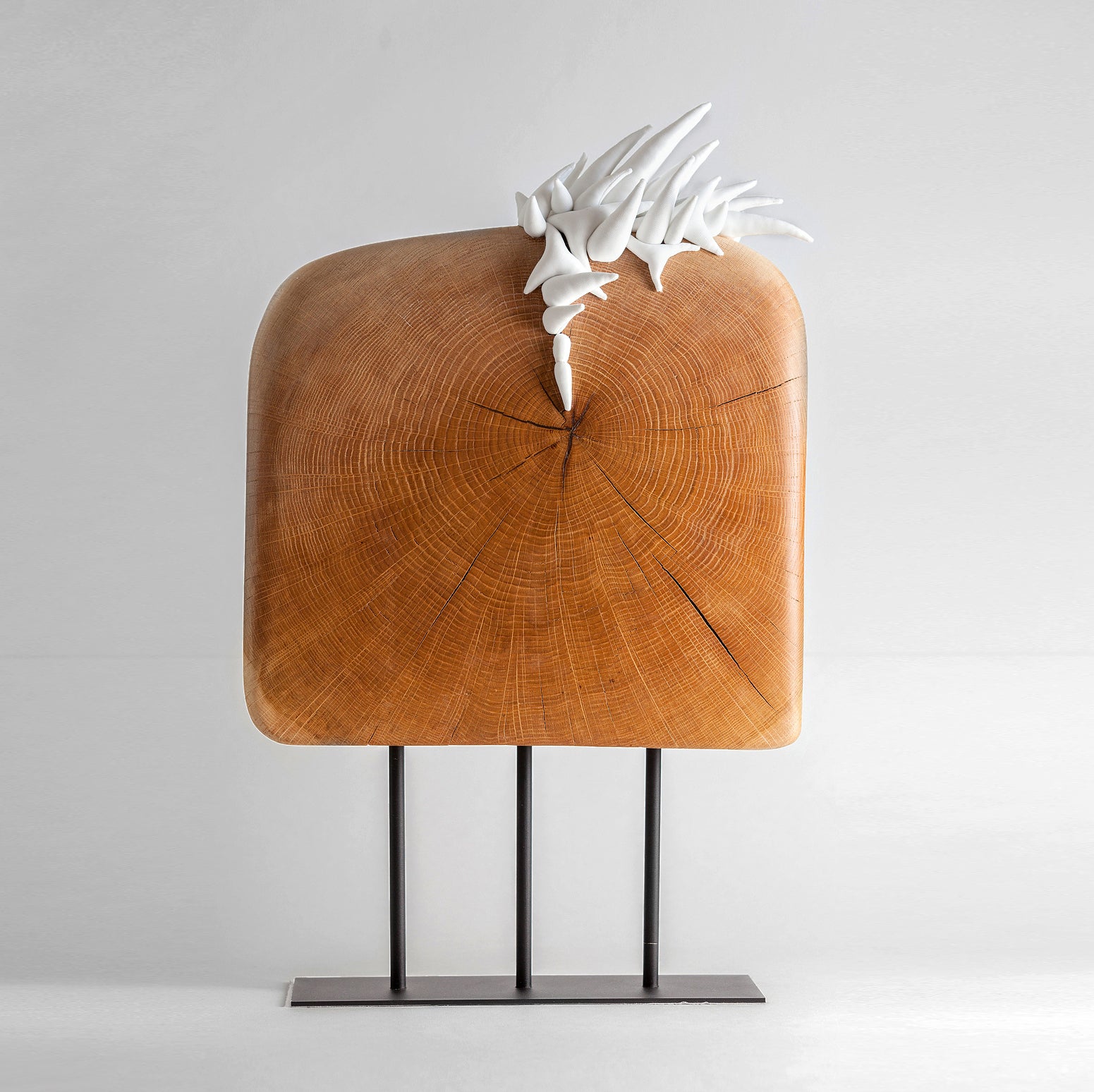 Olga Radionova Abstract Sculpture - Tree of life #3