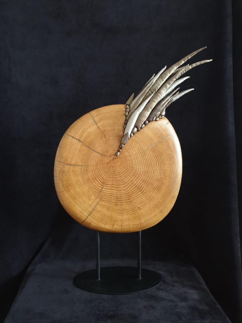Tree of Life. Nautilus - Contemporary Sculpture by Olga Radionova