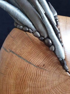 "Nautilus" Sculpture, Wood, Contemporary, 2022