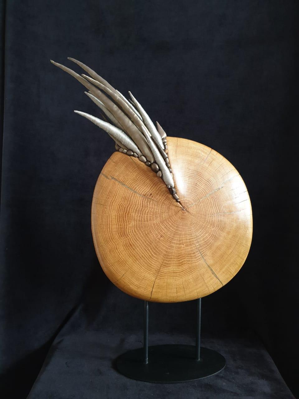 Olga Radionova Abstract Sculpture - Tree of Life. Nautilus