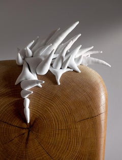 Tree of Life. Sculpture. Recycled Antique Oak Wood with Textile elements